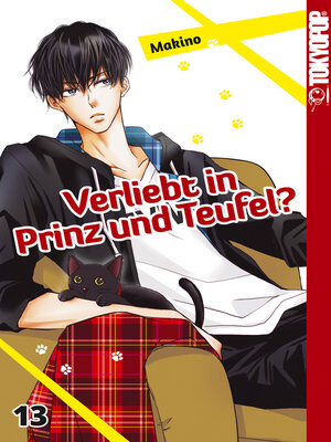cover image of Verliebt in Prinz und Teufel?, Band 13